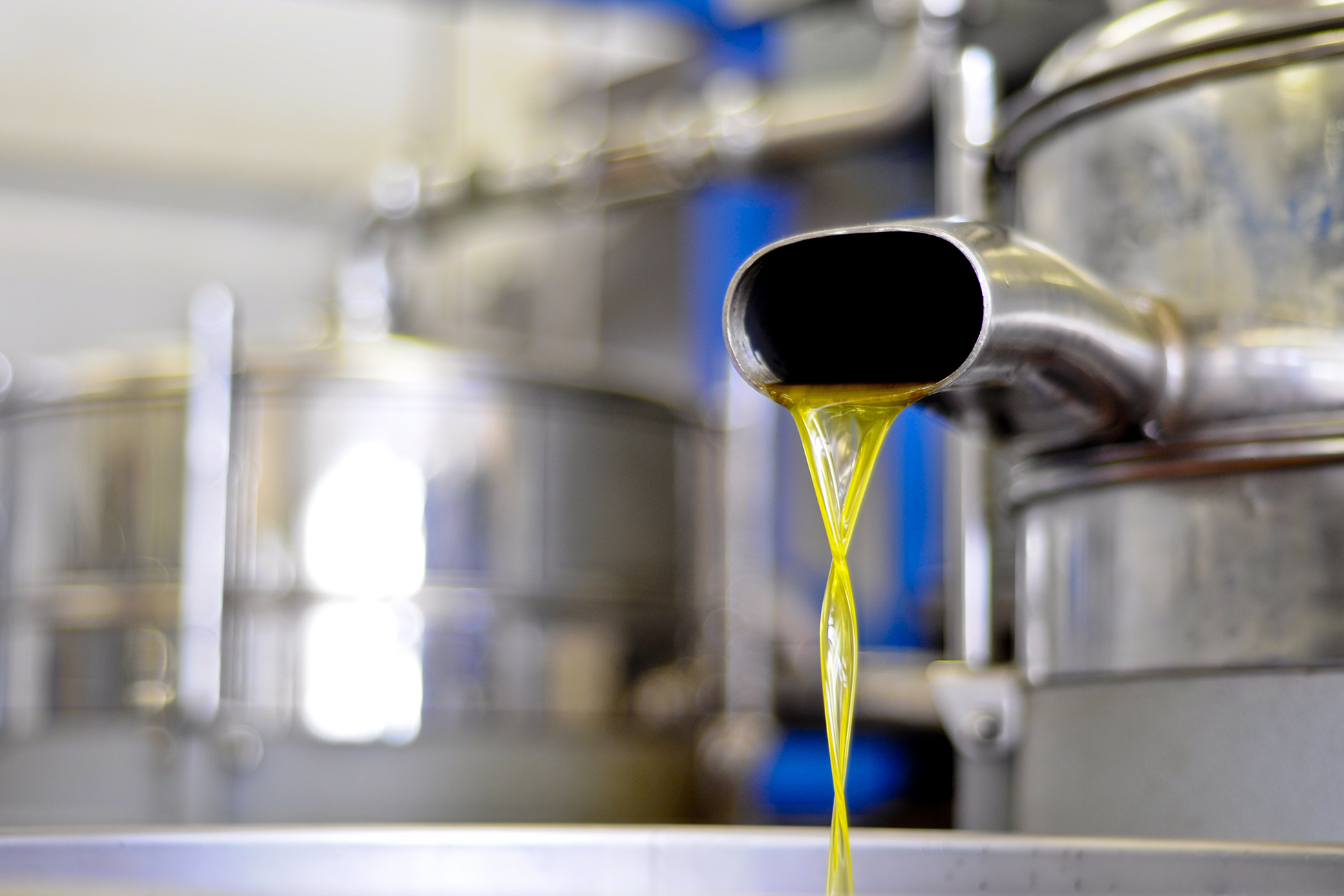 Production of olive oil